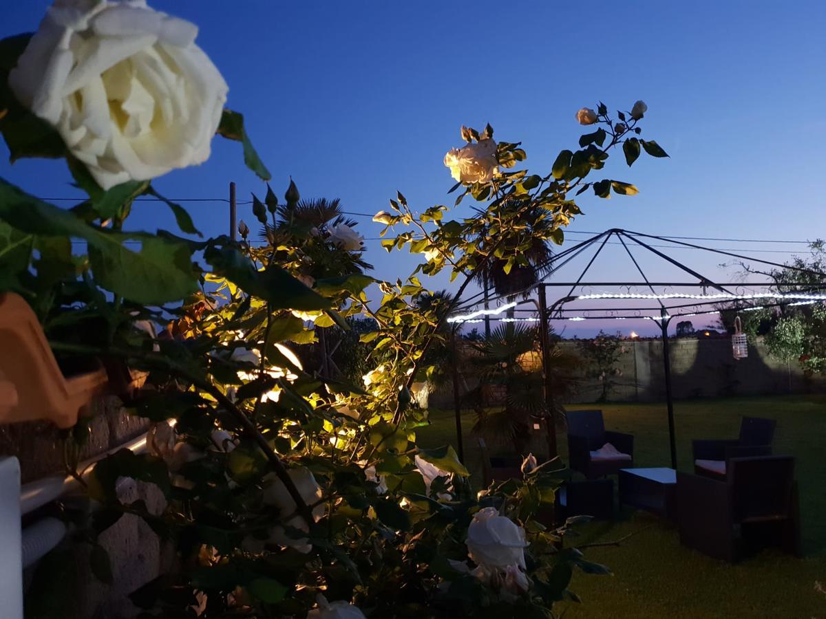 Villa Elegance Ladispoli Exteriér fotografie